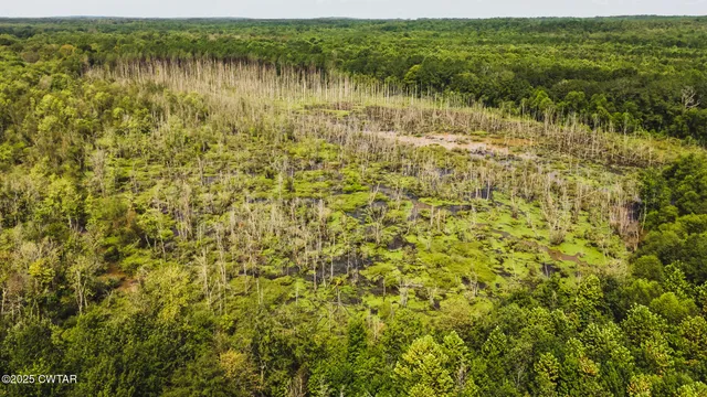 a view of a lake with houses