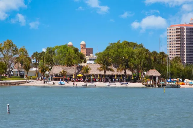 a sign that is sitting in front of a tree