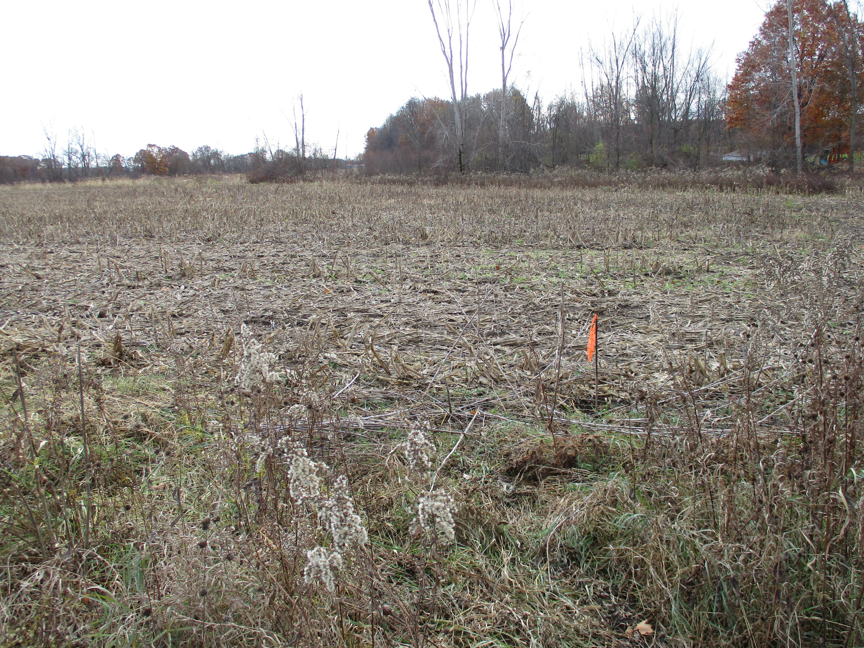0 Baseline Road Rives Junction, MI 49277 - Photo 8 of 16 9