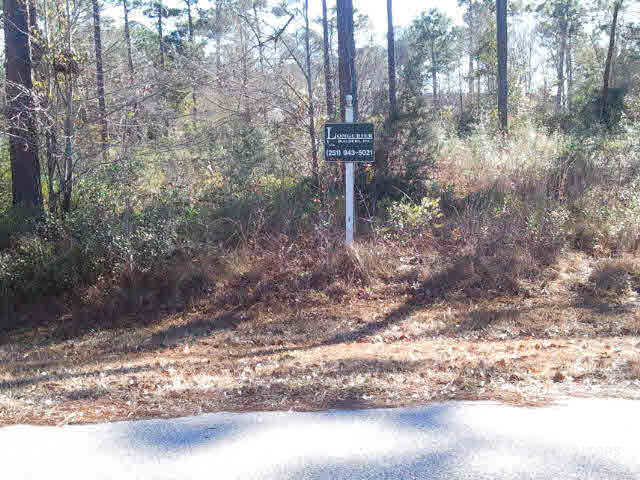 307 Forest Lane Foley, AL 36535 - Photo 1 of 1 Gallery Image 1