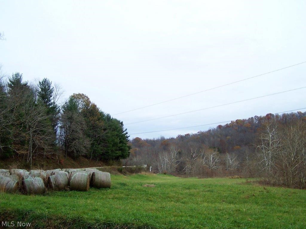 145 Reedyville Road Spencer, WV 25276 - Photo 30 of 31