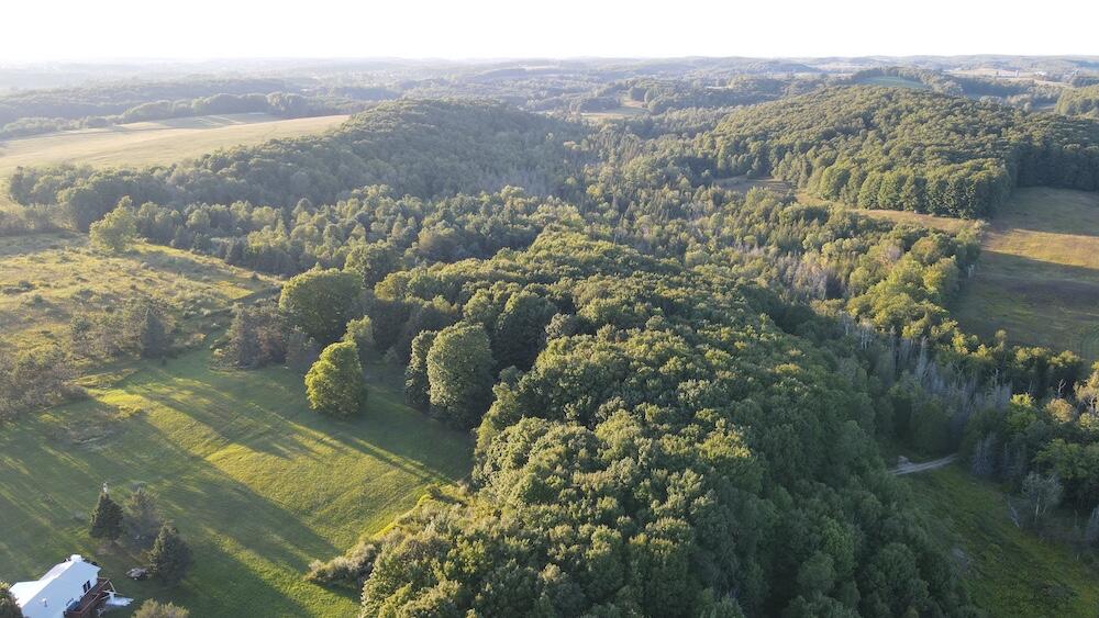 8530 Toad Lake Road Ellsworth, MI 49729 - Photo 52 of 93 DJI_0005