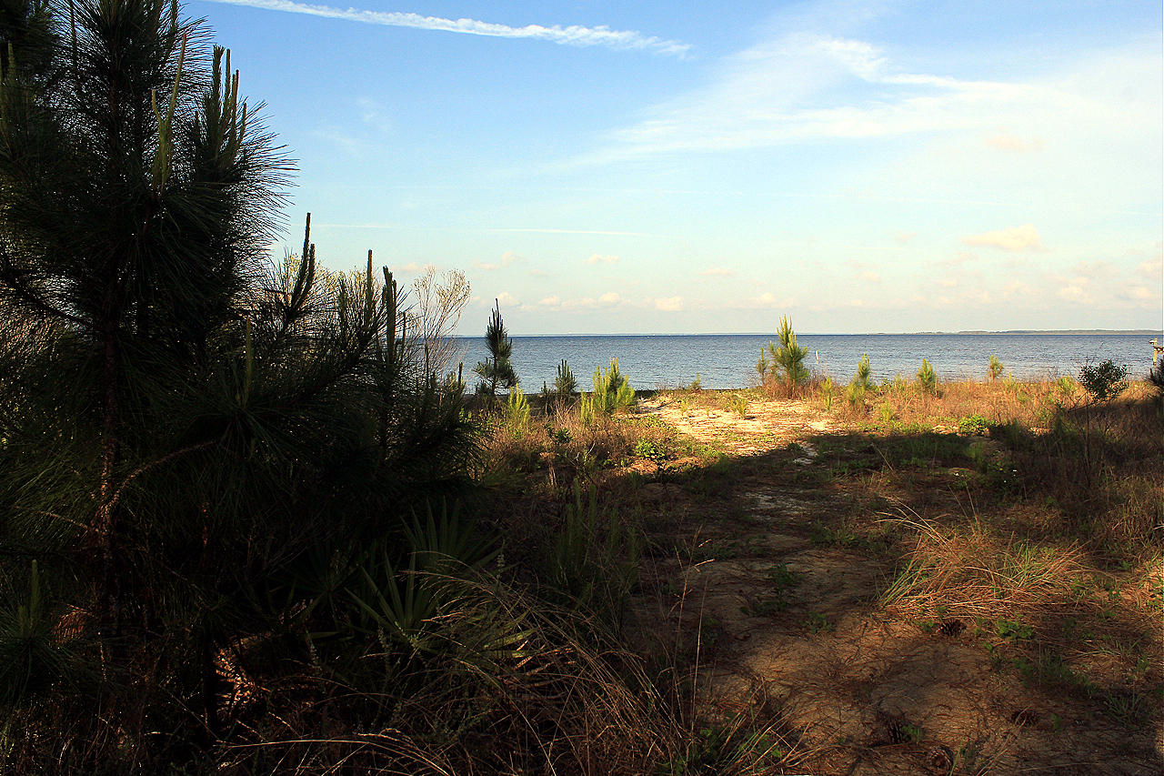 Lot #11 Driftwood Point Road Miramar Beach, FL 32550 - Photo 1 of 17 a view of lake and ocean