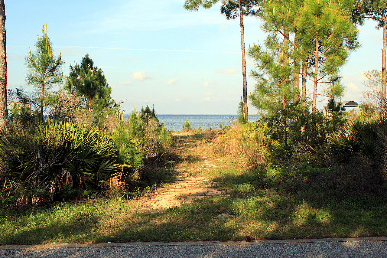 Lot #11 Driftwood Point Road Miramar Beach, FL 32550 - Photo 6 of 17 a view of a yard