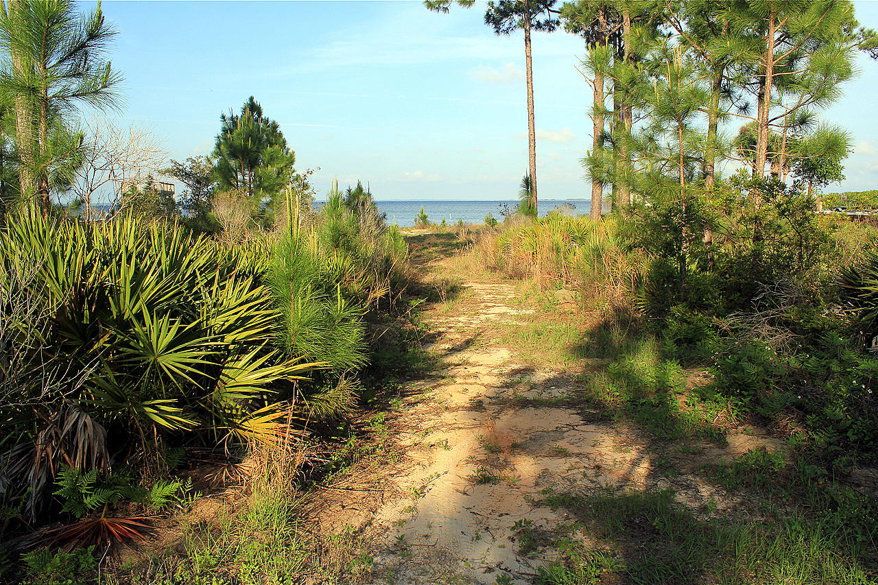 Lot #11 Driftwood Point Road Miramar Beach, FL 32550 - Photo 7 of 17 a view of a lake with a big yard