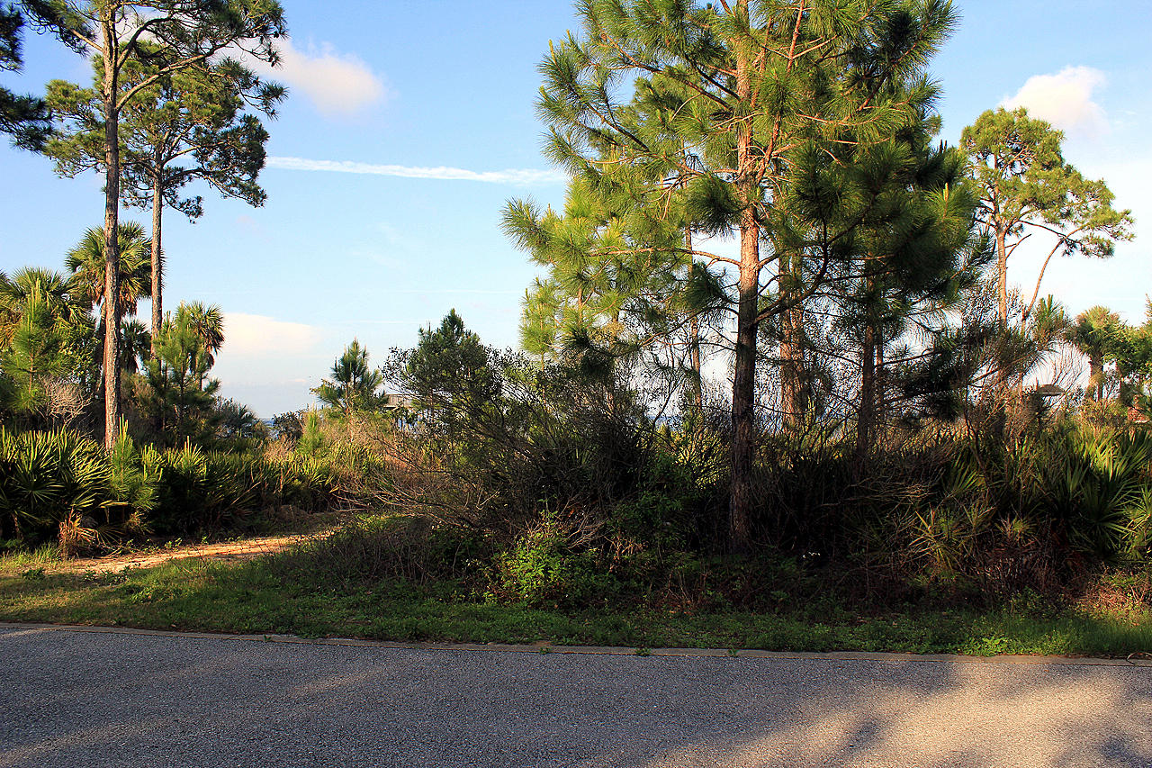 Lot #11 Driftwood Point Road Miramar Beach, FL 32550 - Photo 10 of 17 a plant that is in front of a house
