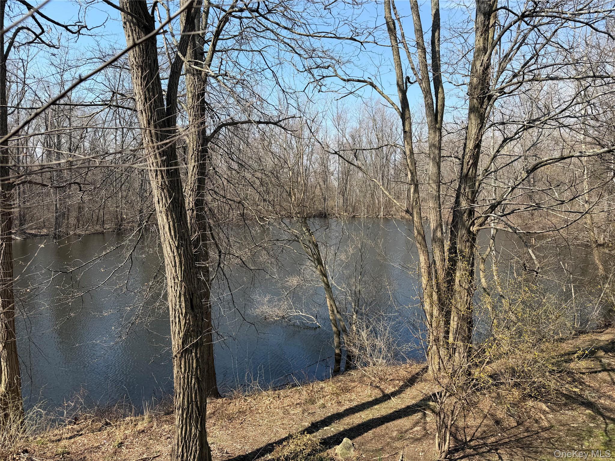 145 Regency Drive Fishkill, NY 12524 - Photo 40 of 43 View along Walking Trail on Complex premises