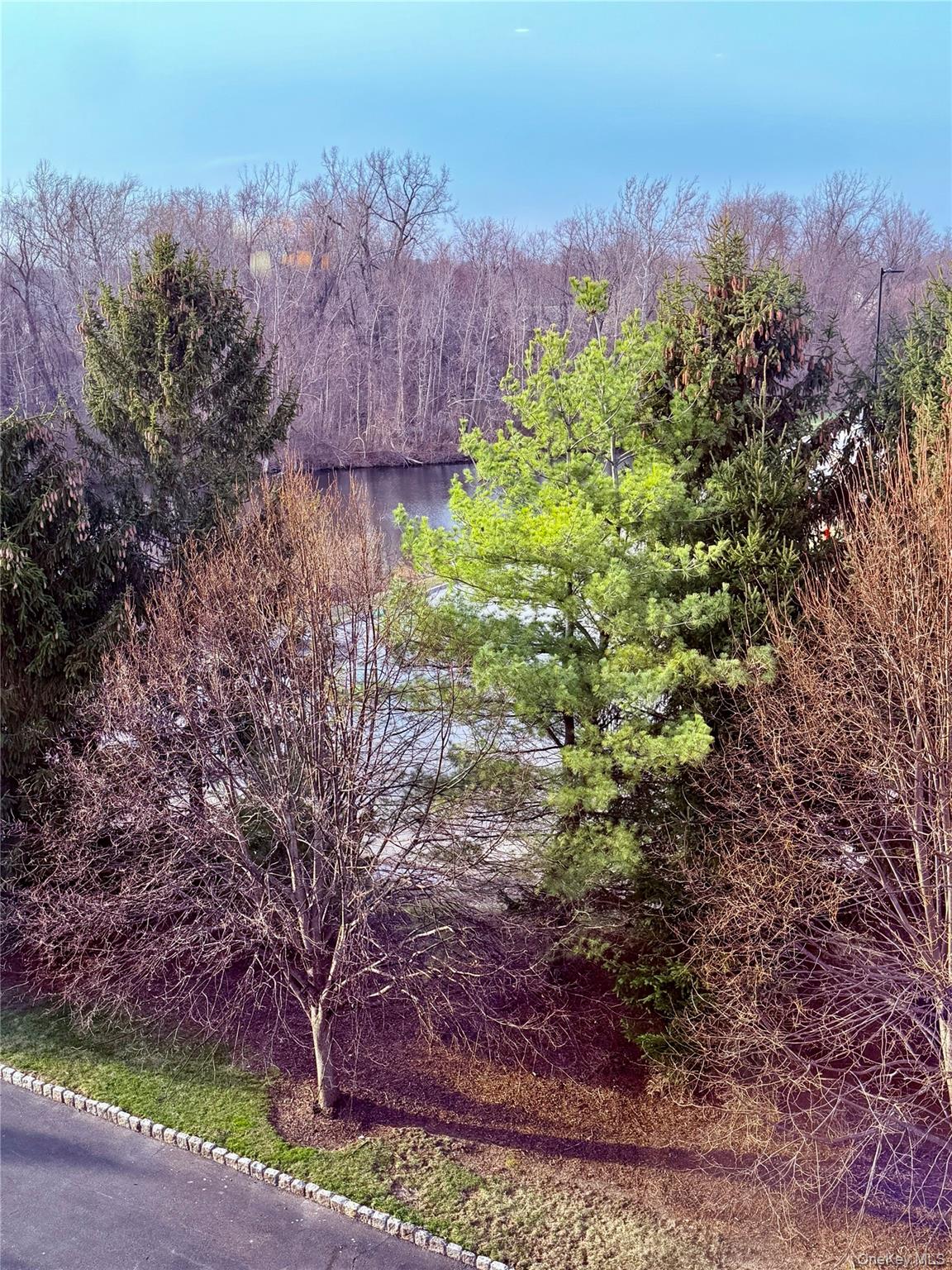 145 Regency Drive Fishkill, NY 12524 - Photo 41 of 43 Picturesque Tree and Water View from the inside side of the Unit