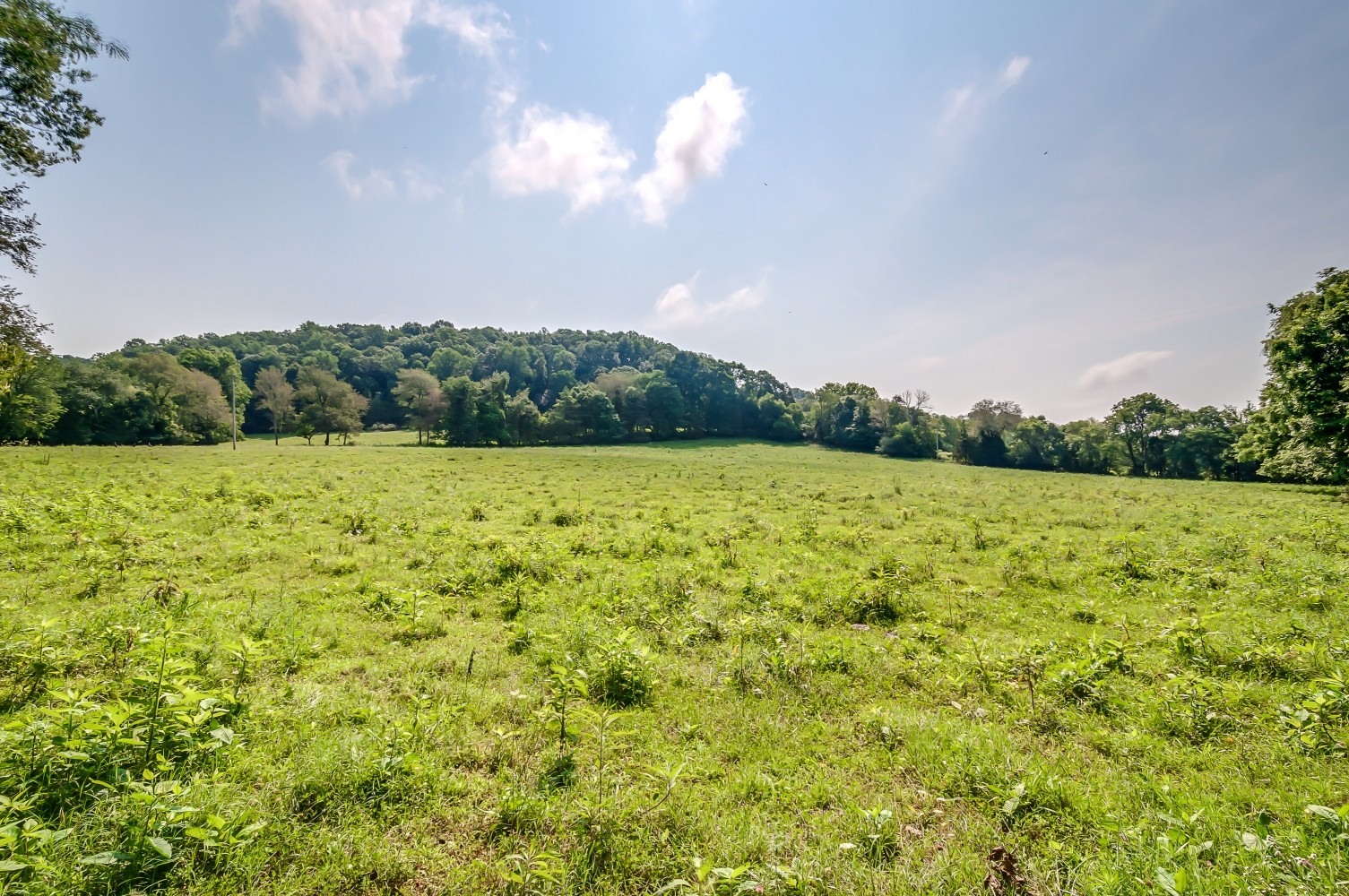 0 Keg Springs Road Hampshire, TN 38461 - Photo 3 of 8 Gallery Image 3