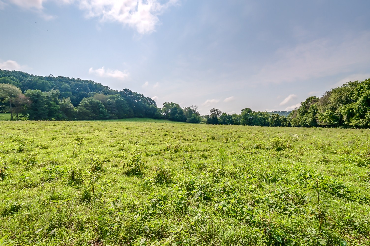 0 Keg Springs Road Hampshire, TN 38461 - Photo 4 of 8 Gallery Image 4