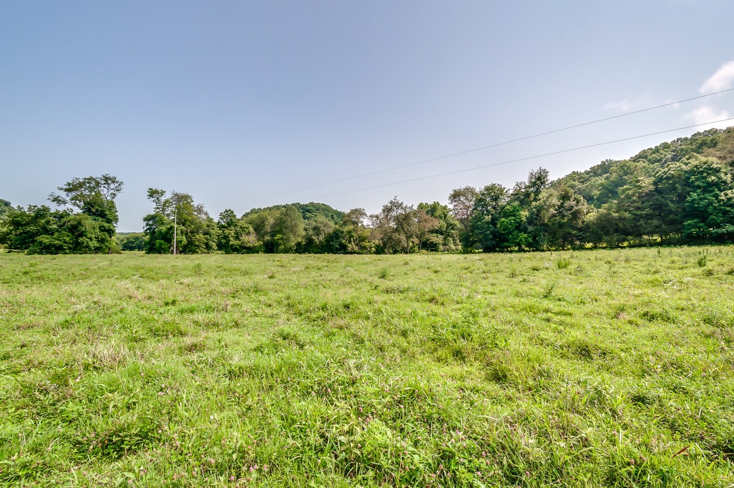 0 Keg Springs Road Hampshire, TN 38461 - Photo 6 of 8 Gallery Image 6