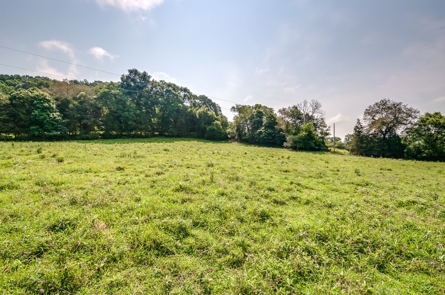 0 Keg Springs Road Hampshire, TN 38461 - Photo 7 of 8 Gallery Image 7