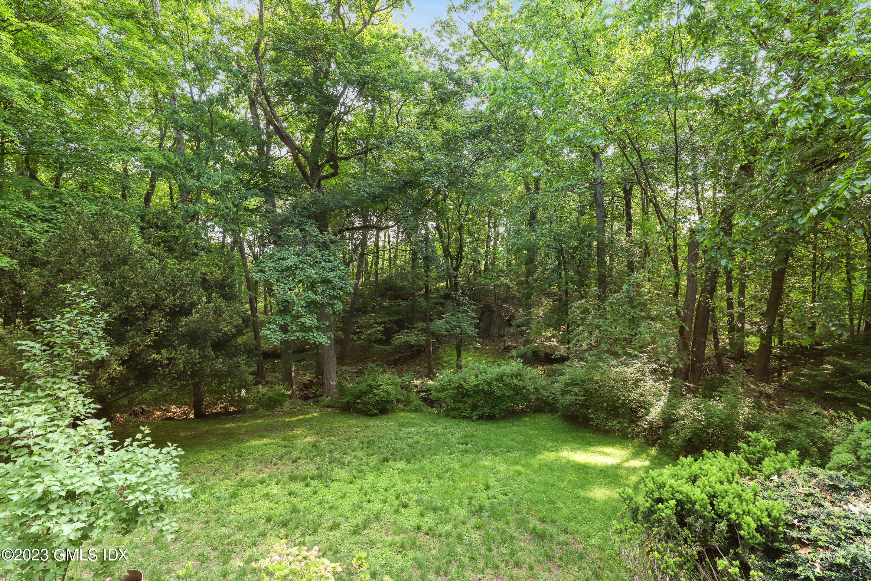 31 Ferncliff Road Cos Cob, CT 06807 - Photo 23 of 28 a view of a lush green forest