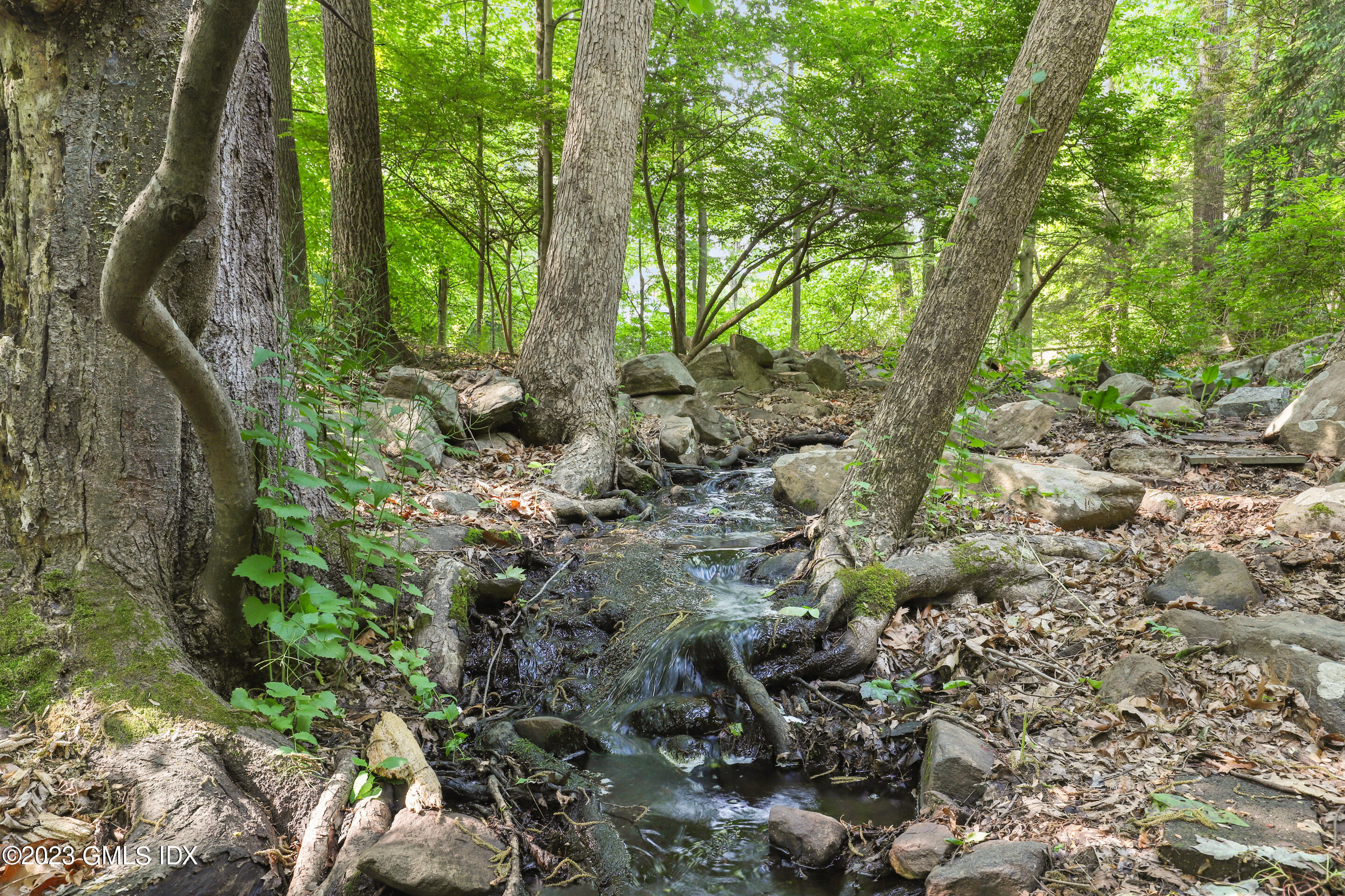 31 Ferncliff Road Cos Cob, CT 06807 - Photo 26 of 28 a view of forest