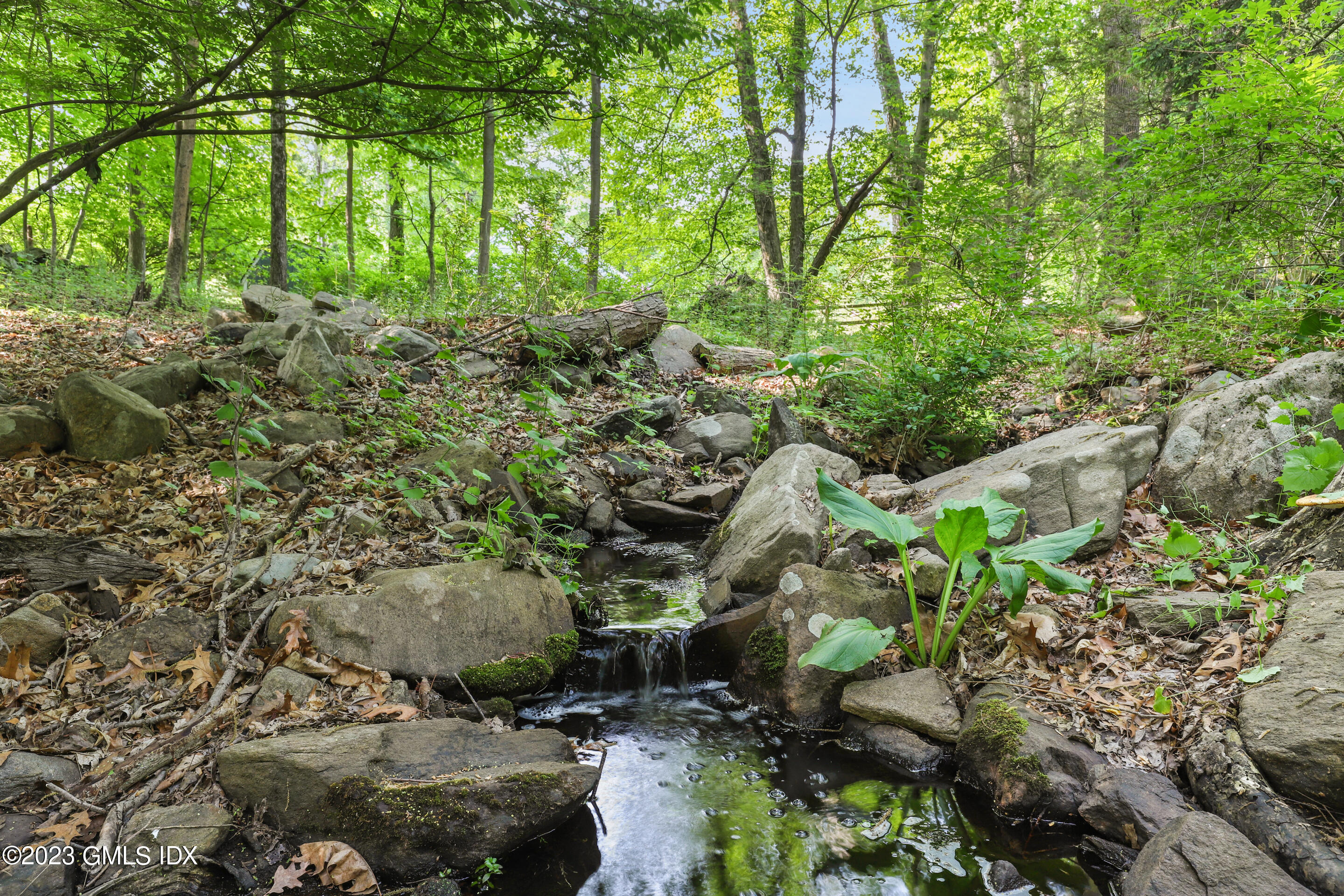 31 Ferncliff Road Cos Cob, CT 06807 - Photo 27 of 28 a backyard of a house with lots of green space