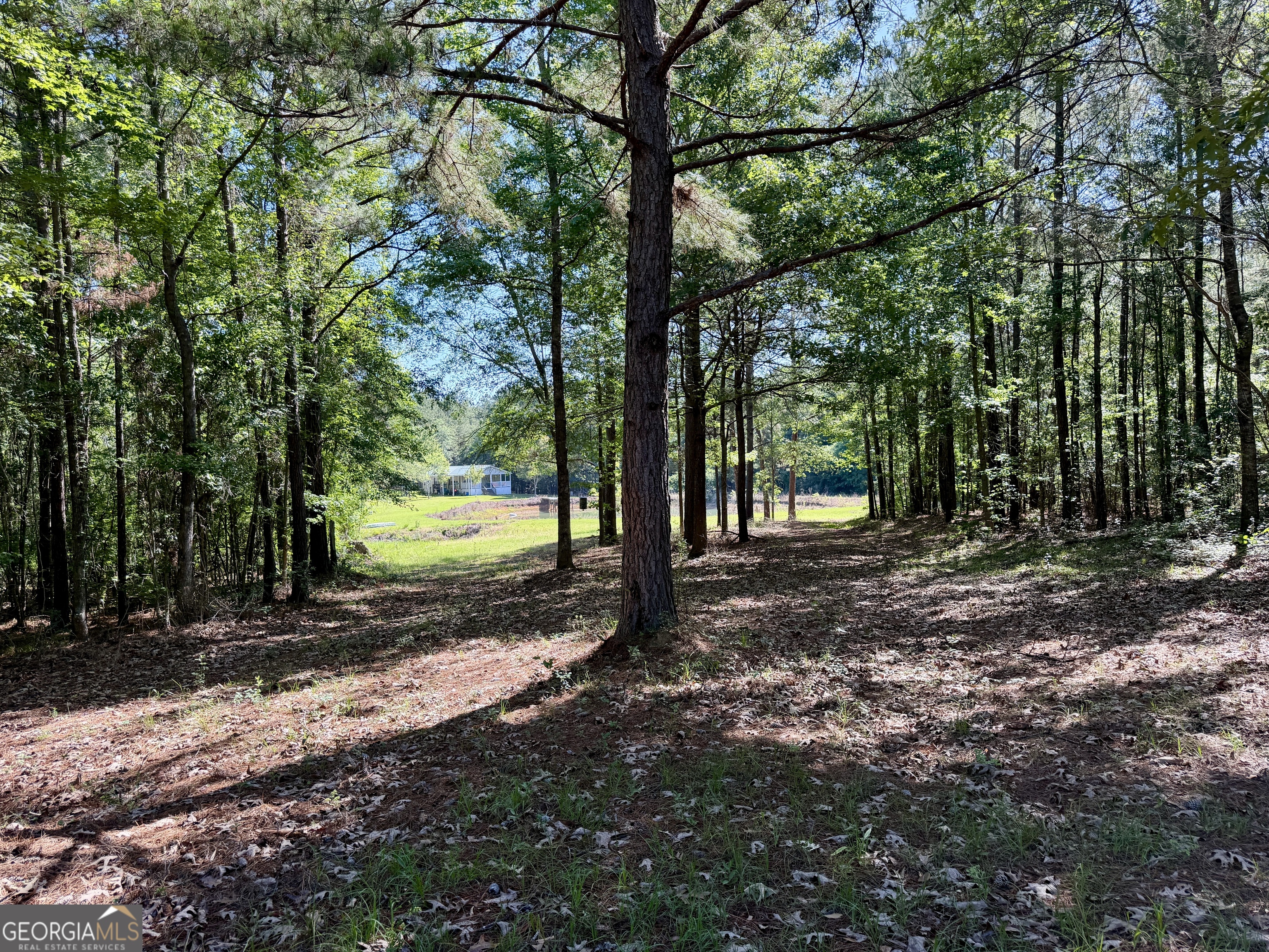 769 Mt Olive Church Road Eastman, GA 31023 - Photo 66 of 68