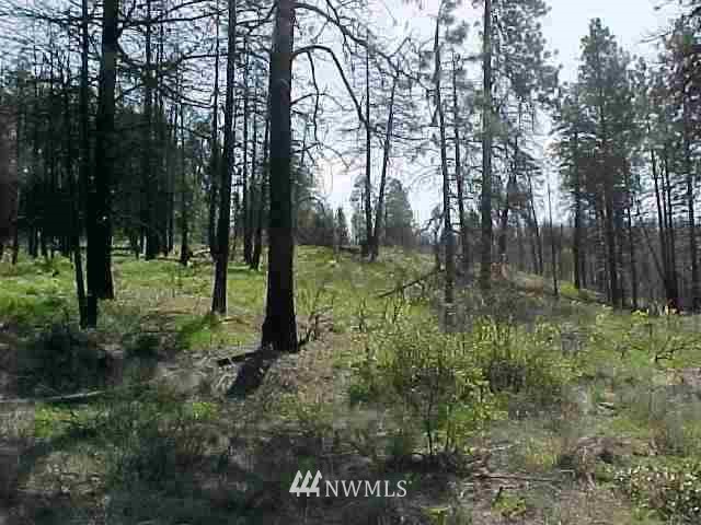 -nna Nna Swanson Gulch Road Manson, WA 98831 - Photo 1 of 4 Gallery Image 1