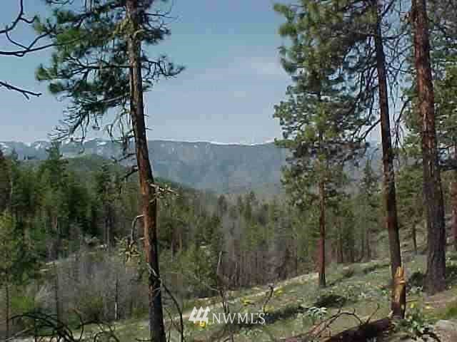 -nna Nna Swanson Gulch Road Manson, WA 98831 - Photo 2 of 4 Gallery Image 2