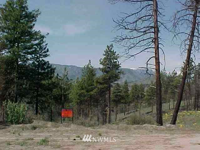 -nna Nna Swanson Gulch Road Manson, WA 98831 - Photo 3 of 4 Gallery Image 3