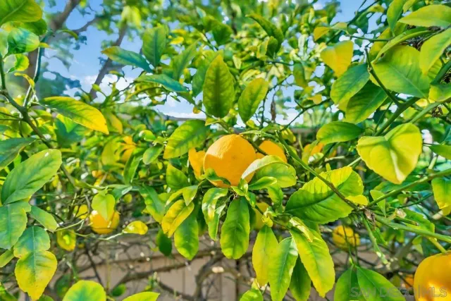 $1,175,000 | 18910 Caminito Cantilena, Unit 10, San Diego, CA 92128