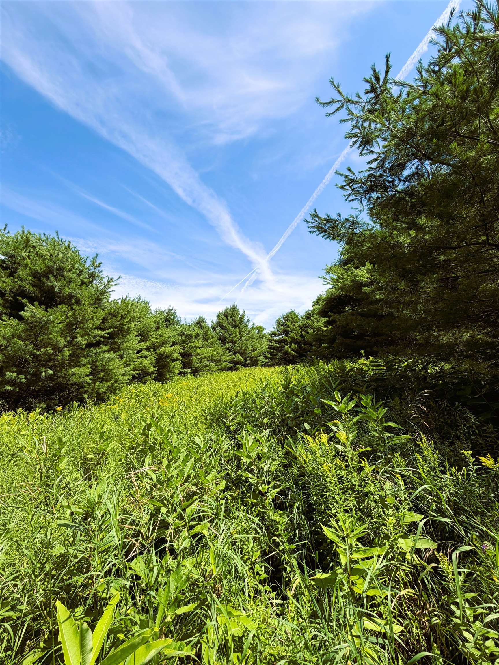 0 Osgood Farm Road Littleton, NH 03561 - Photo 16 of 58 Gallery Image 16
