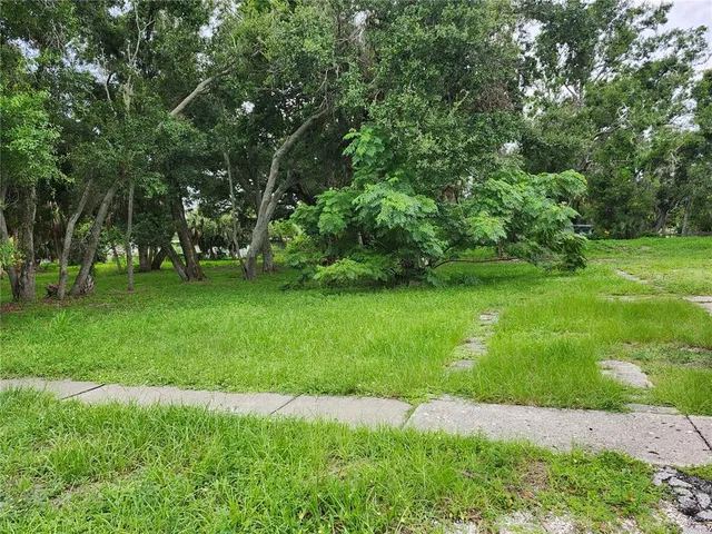 a view of a park with trees in the background
