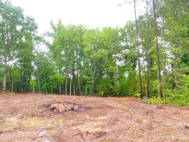 Short Street, Unit 4 Alberta, VA 23821 - Photo 5 of 7 Gallery Image 5