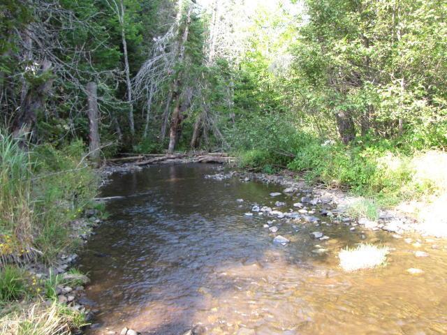 0 Graham Road Easton, ME 04740 - Photo 19 of 21 This picture not on property but...