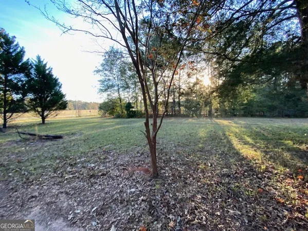a view of a yard with trees