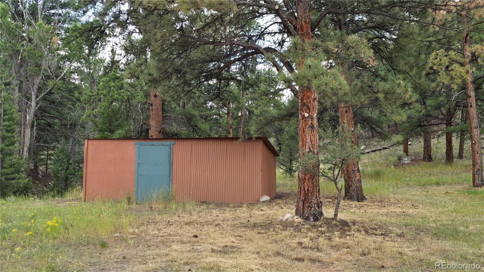 Undisclosed Address Nathrop, CO 81236 - Photo 45 of 50 a backyard of a house with lots of green space