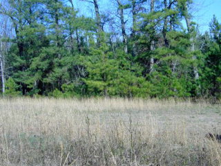Lot # Boy Scout Road Bailey, NC 27807 - Photo 1 of 1 Primary Photo