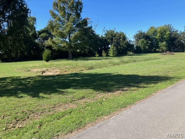 111 West Wilkey Risco, MO 63874 - Photo 14 of 14