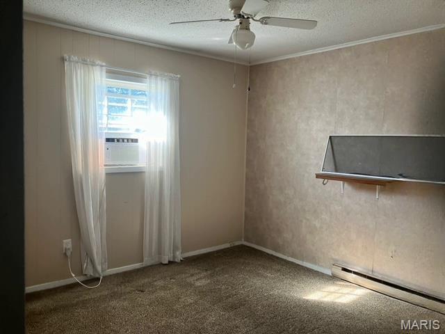 111 West Wilkey Risco, MO 63874 - Photo 6 of 14