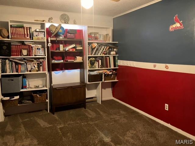 111 West Wilkey Risco, MO 63874 - Photo 7 of 14