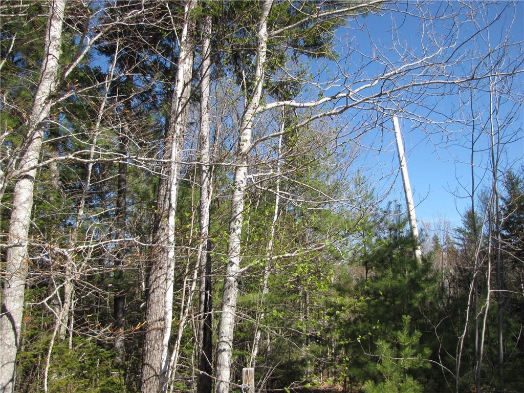 0 Kettle Ridge Road Northfield, ME 04654 - Photo 8 of 11 Photo