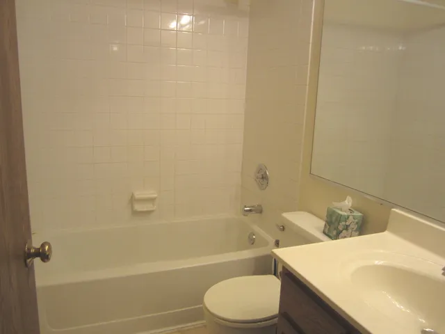 a bathroom with a sink a toilet and a bathtub