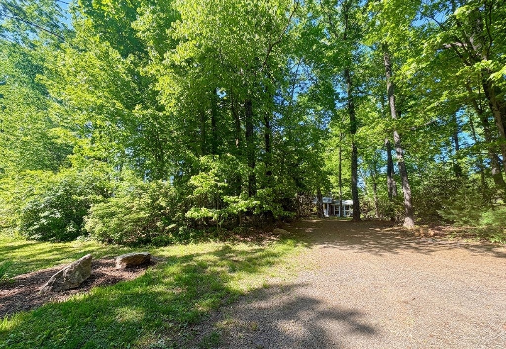 200 Spring Branch Road Fancy Gap, VA 24328 - Photo 2 of 40 Gallery Image 2