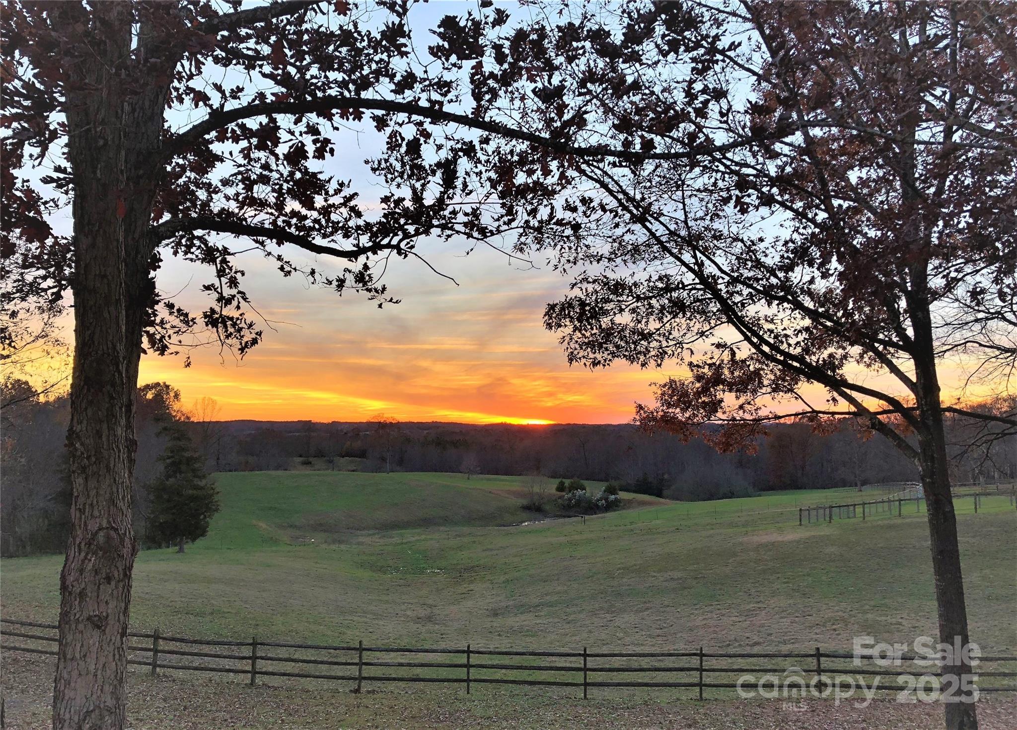 533 Blonnie Ross Road Polkton, NC 28135 - Photo 2 of 48