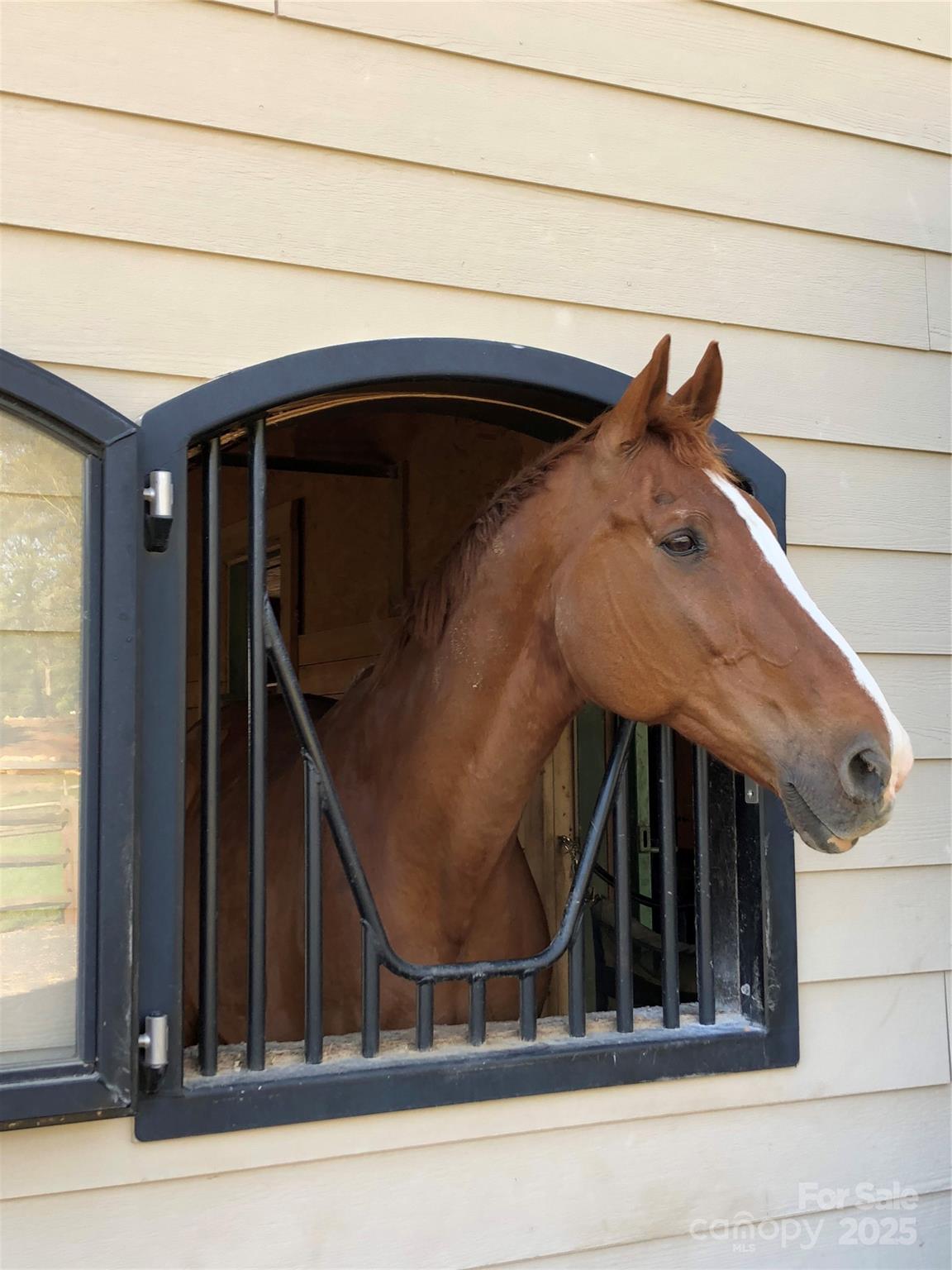 533 Blonnie Ross Road Polkton, NC 28135 - Photo 41 of 48