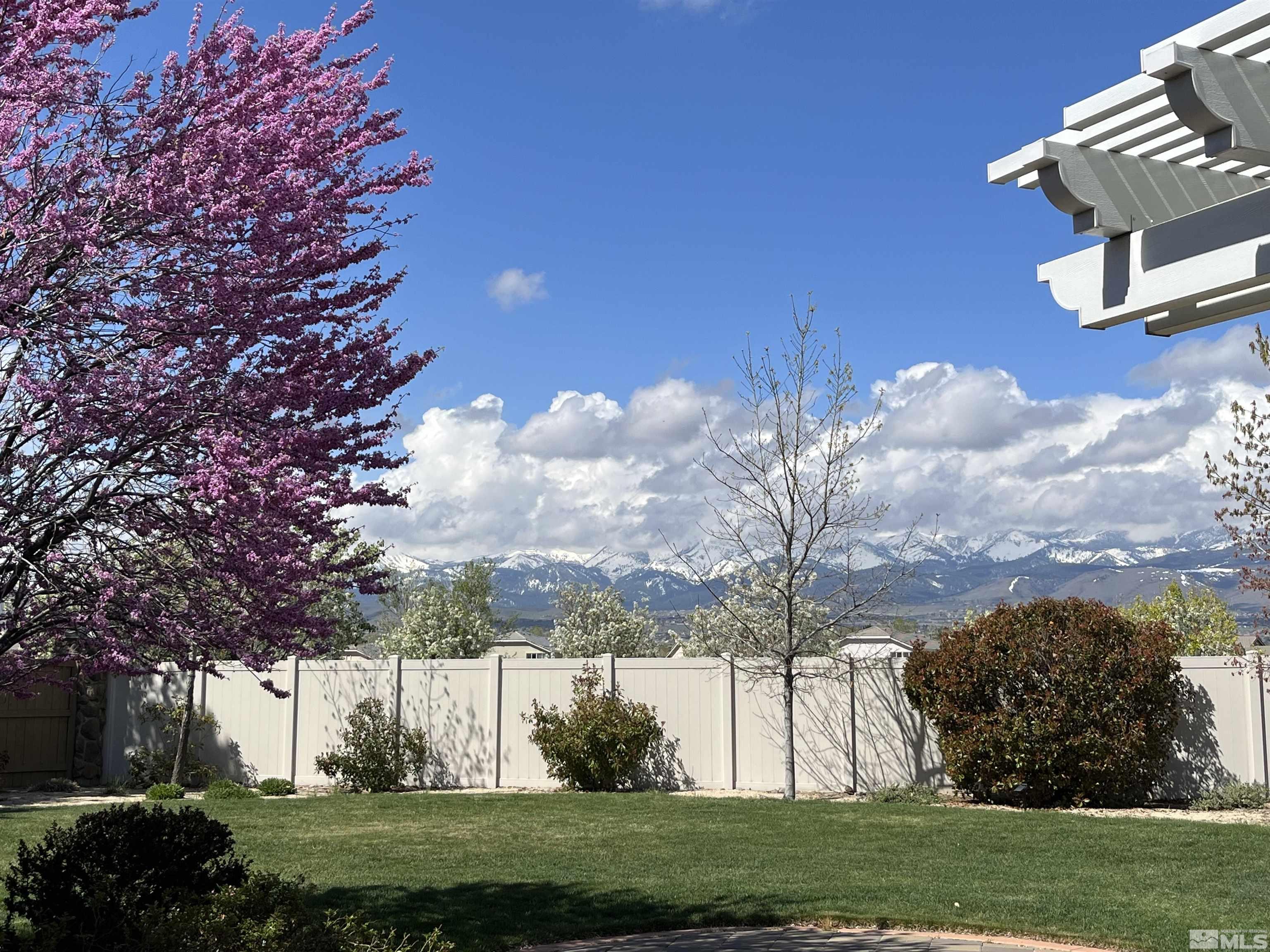 2635 Vitoria Lane Reno, NV 89521 - Photo 34 of 40 a view of a yard in front of a house