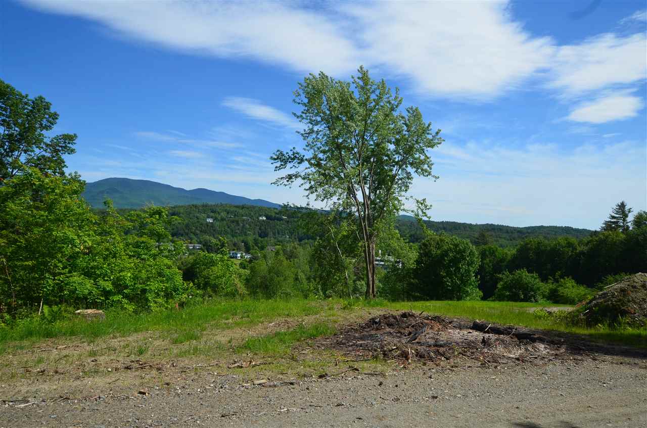 289 Cottage Club Road, Unit LOT #3 Stowe, VT 05672 - Photo 4 of 16 Gallery Image 4