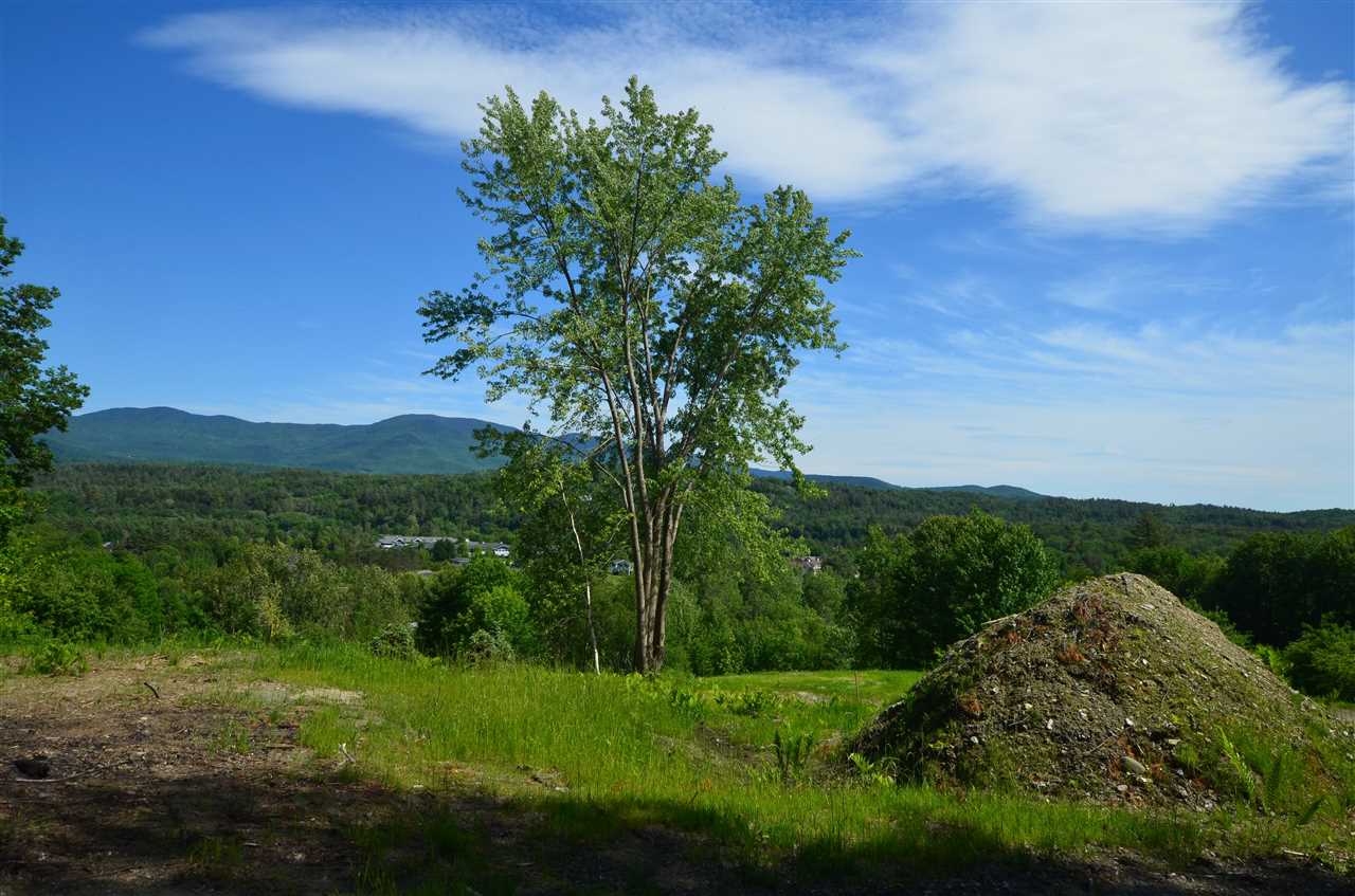 289 Cottage Club Road, Unit LOT #3 Stowe, VT 05672 - Photo 5 of 16 Gallery Image 5