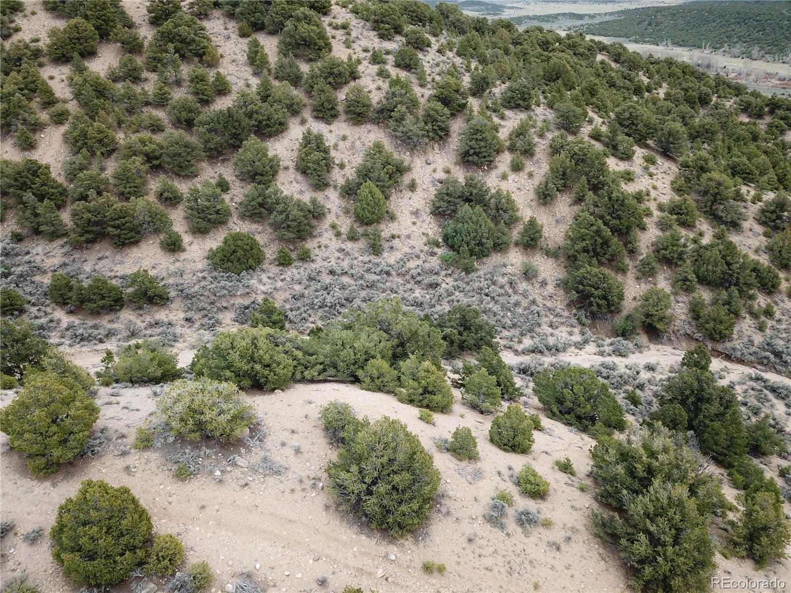 Los Fuertes San Luis, CO 81152 - Photo 16 of 22 a view of a forest with a tree