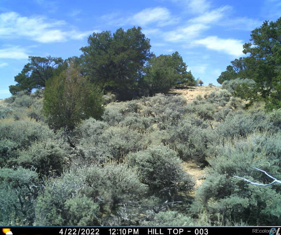 Los Fuertes San Luis, CO 81152 - Photo 17 of 22 a view of a dry yard
