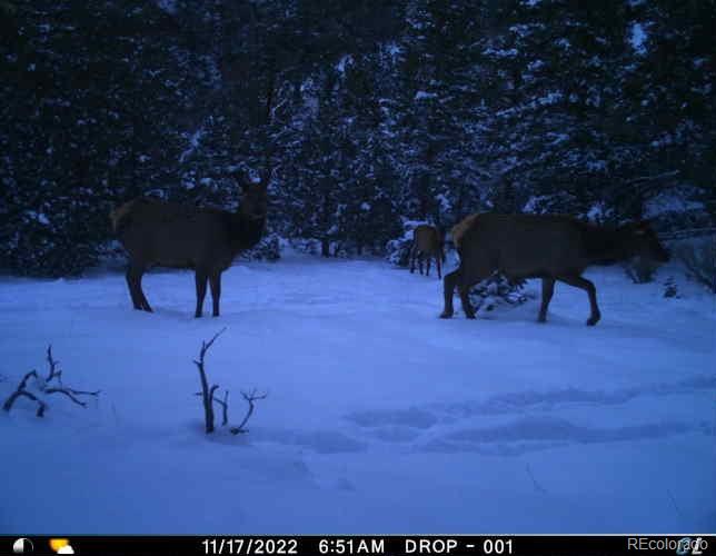 Los Fuertes San Luis, CO 81152 - Photo 21 of 22 a picture of a room