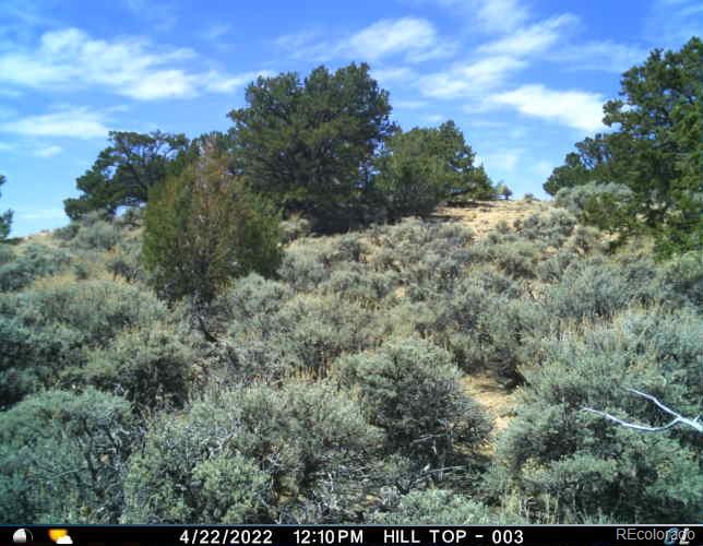 Los Fuertes San Luis, CO 81152 - Photo 22 of 22 a view of a dry yard with lots of trees
