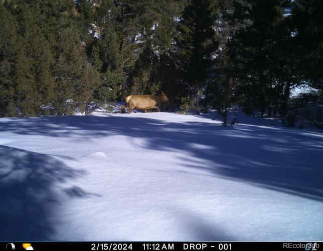 Los Fuertes San Luis, CO 81152 - Photo 3 of 22 a view of a yard