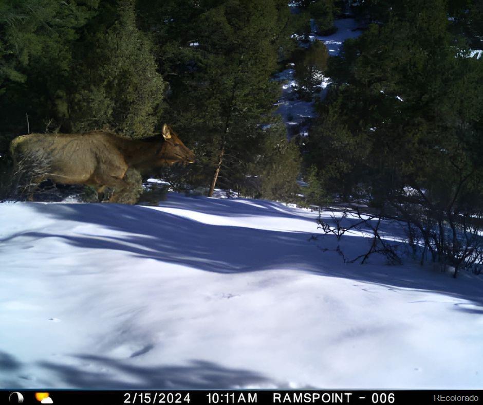 Los Fuertes San Luis, CO 81152 - Photo 10 of 22 a view of outdoor space and yard
