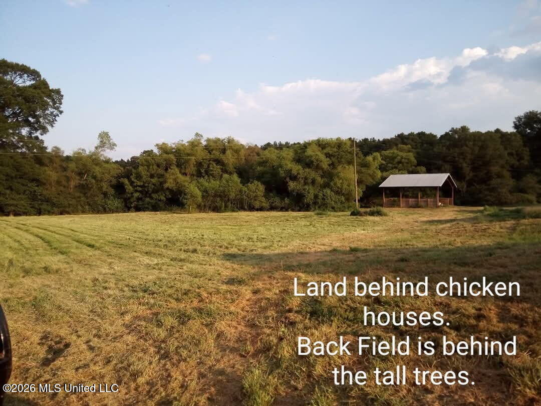 1265 Vfw Road Lake, MS 39092 - Photo 11 of 17 6336868613191781424