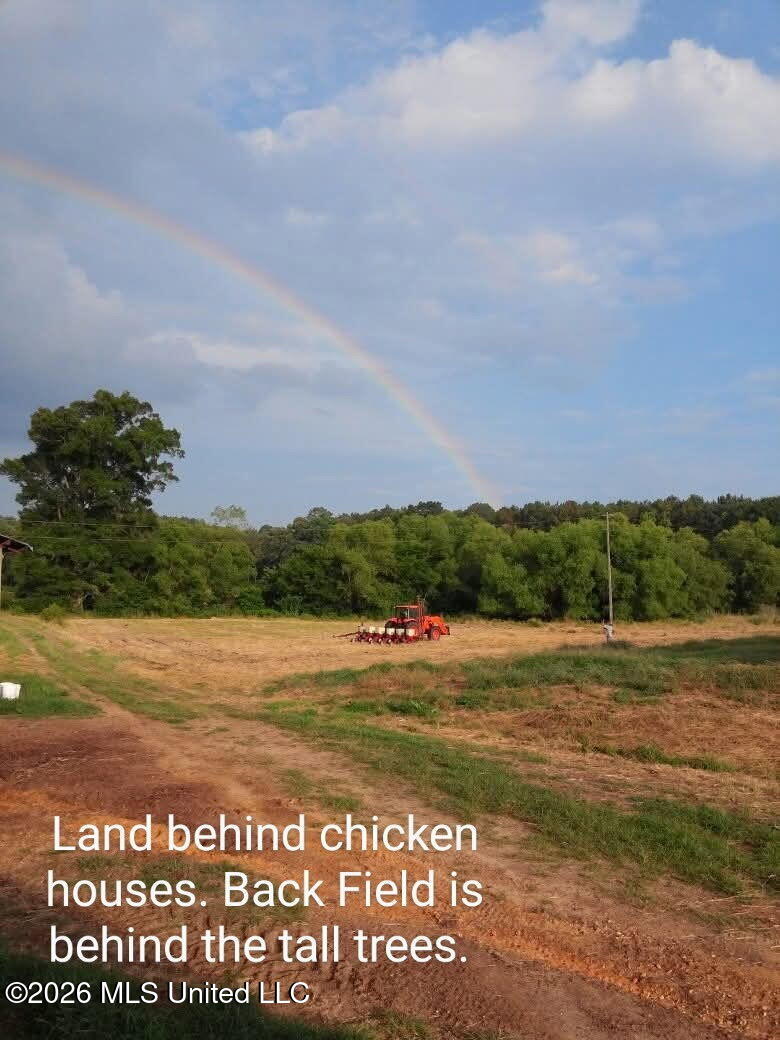 1265 Vfw Road Lake, MS 39092 - Photo 12 of 17 6437280313349648062